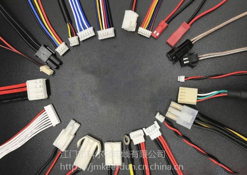 灵活定制·高效交付 jh竞辉250V定制电子线及端子线加工一站式服务典范